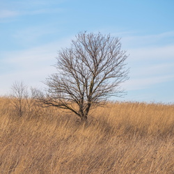 Landscapes & Nature